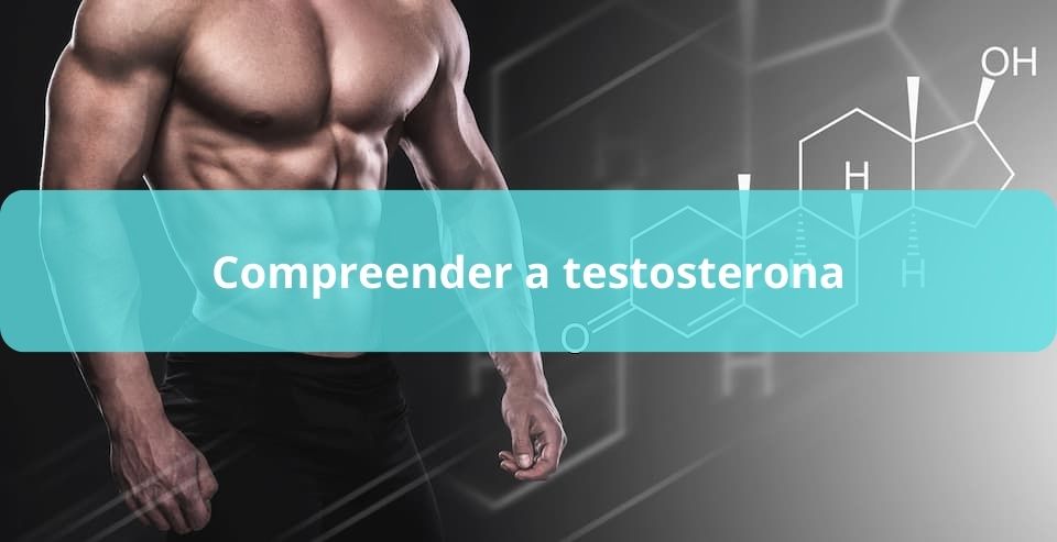 compreender a testosterona